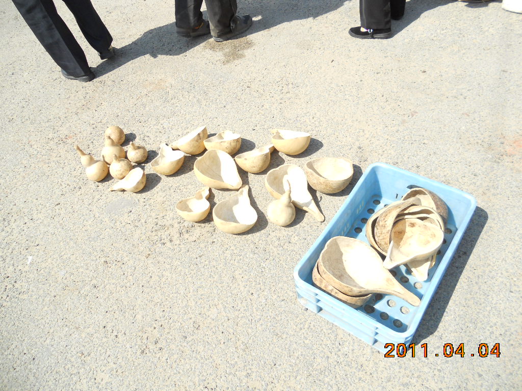 DSCN0526.jpg