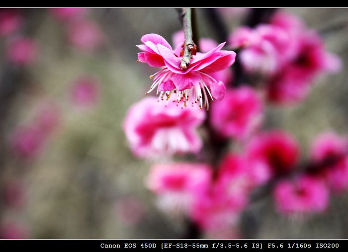 照片 025.jpg