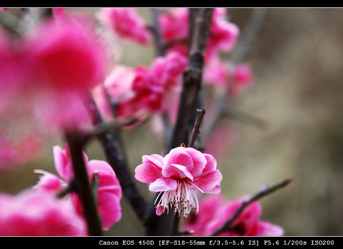照片 024.jpg