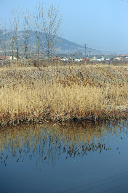 昆嵛山 055a.jpg