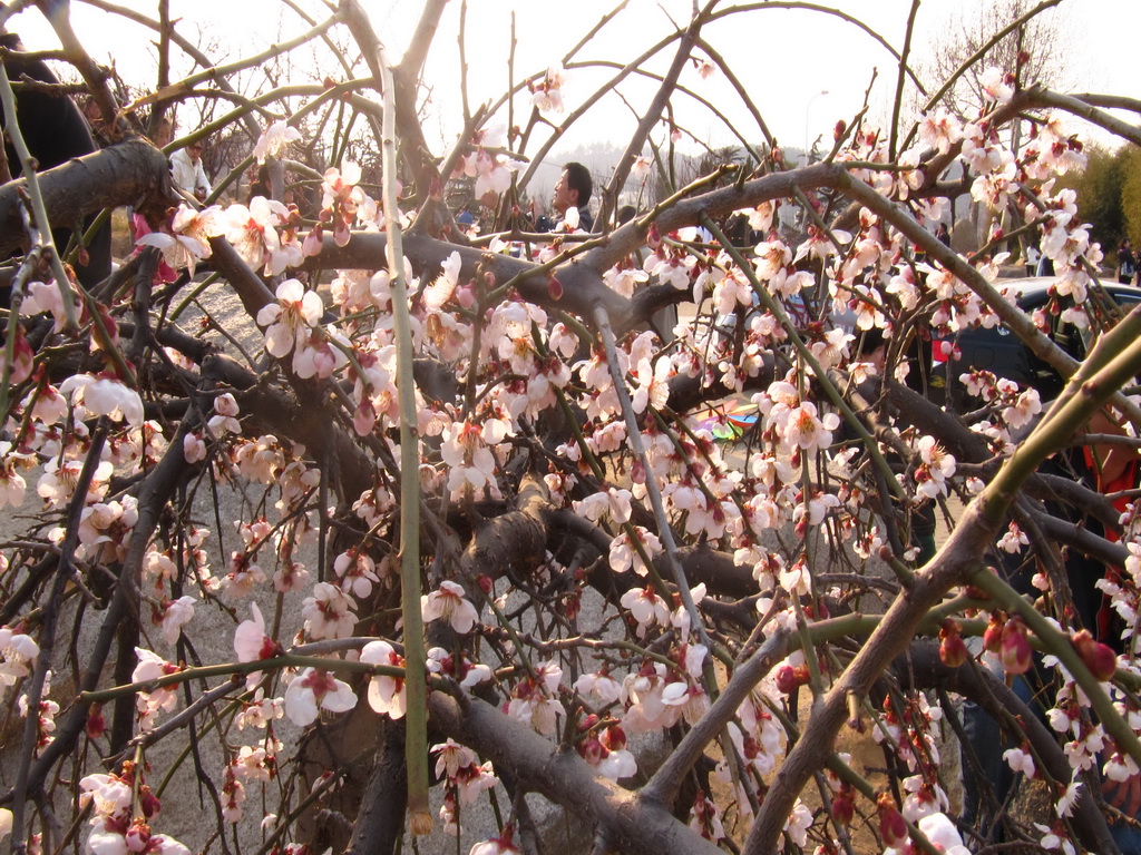 照片 108.jpg