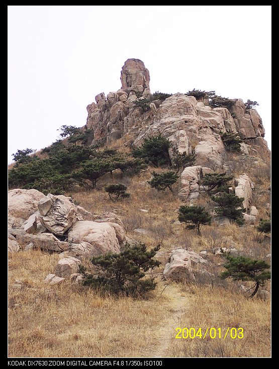 nEO_IMG_抓鸡山 004.jpg