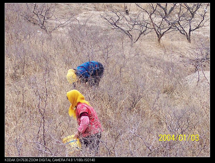 nEO_IMG_抓鸡山 063.jpg