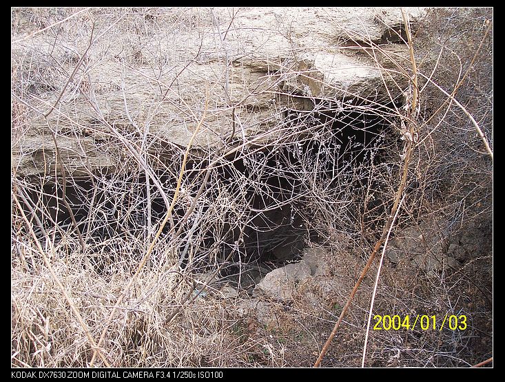 nEO_IMG_抓鸡山 030.jpg