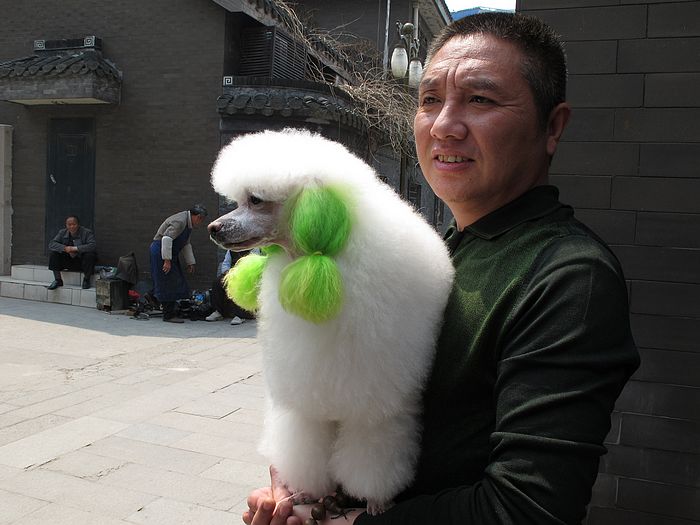 nEO_IMG_IMG_0579.jpg