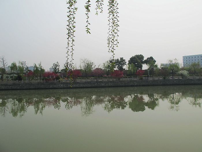 nEO_IMG_IMG_8838.jpg