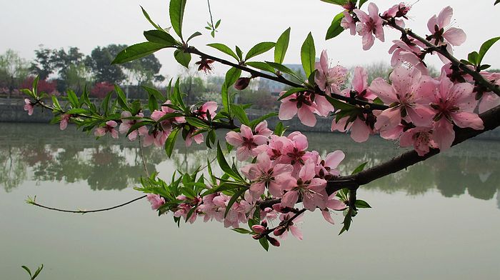 nEO_IMG_IMG_8832.jpg