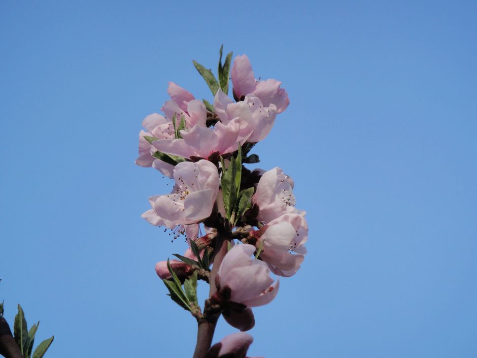 DSC09367.jpg
