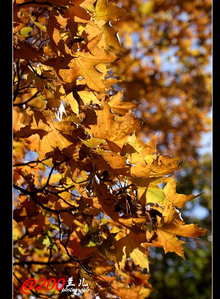 DSC03042.jpg