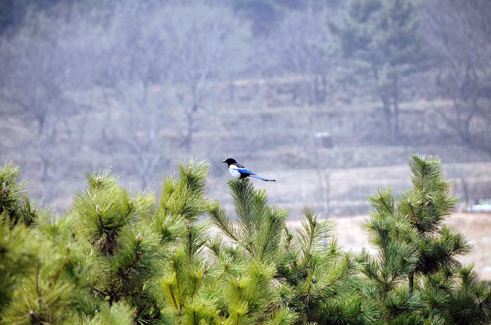 DSC_4303.jpg