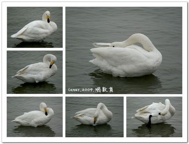 DSC05633_副本.jpg