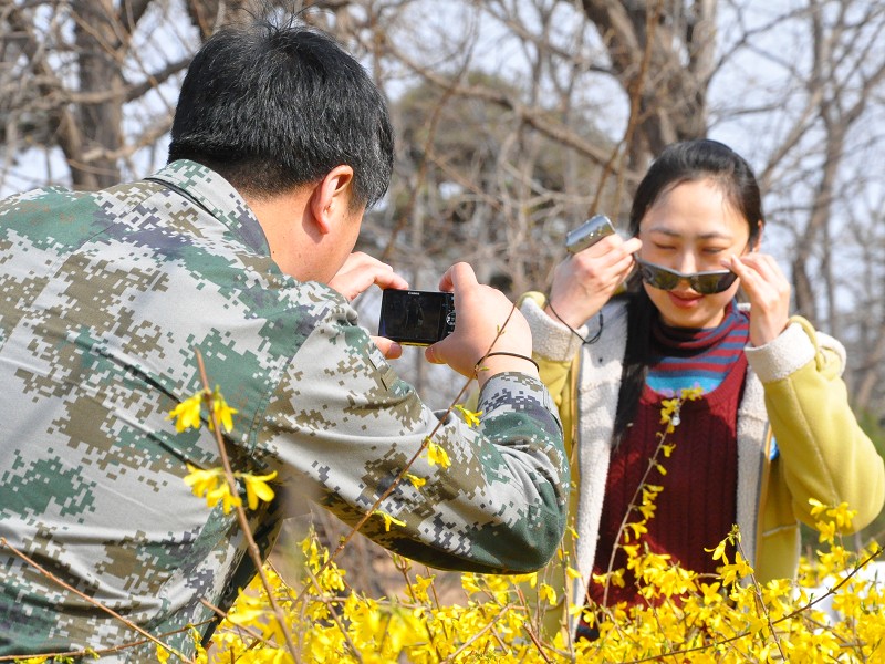 PhotoCap_275.jpg