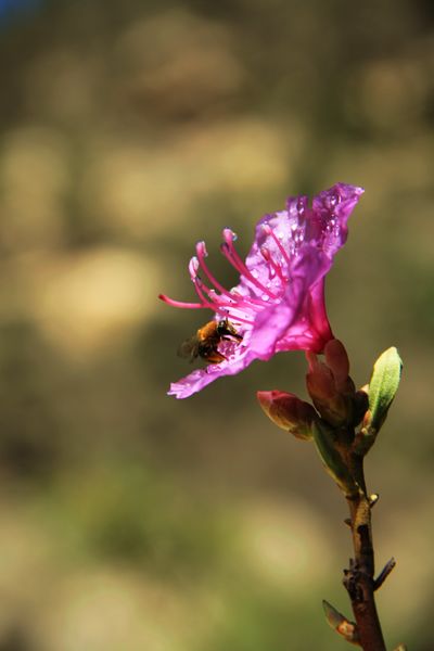 DPP_2111120096.jpg