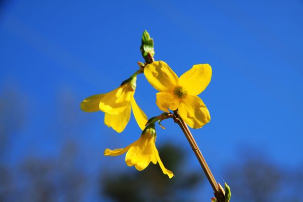 DPP_2111120223.jpg