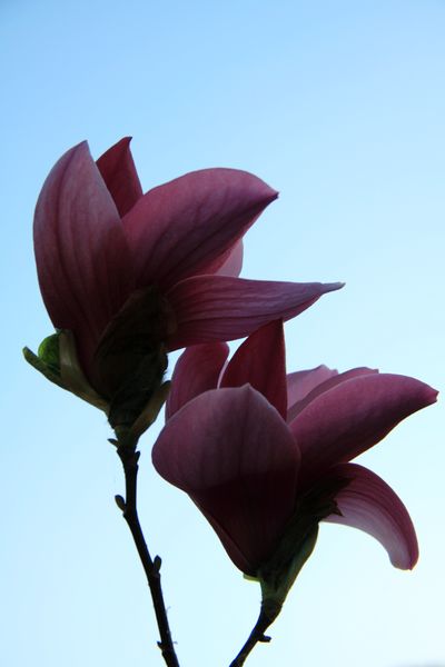 DPP_2111120462.jpg