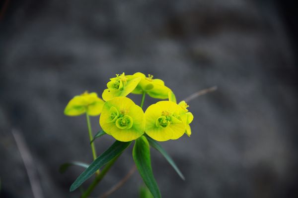 DPP_2111120051.jpg