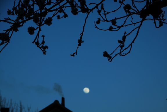 DPP_2111120159.jpg