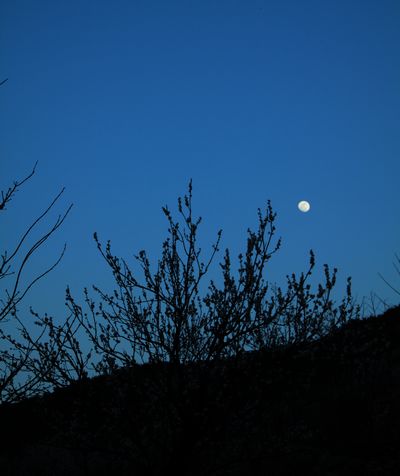 DPP_2111120165.jpg
