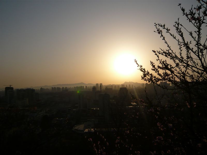 四月青岛樱花之旅 077.jpg
