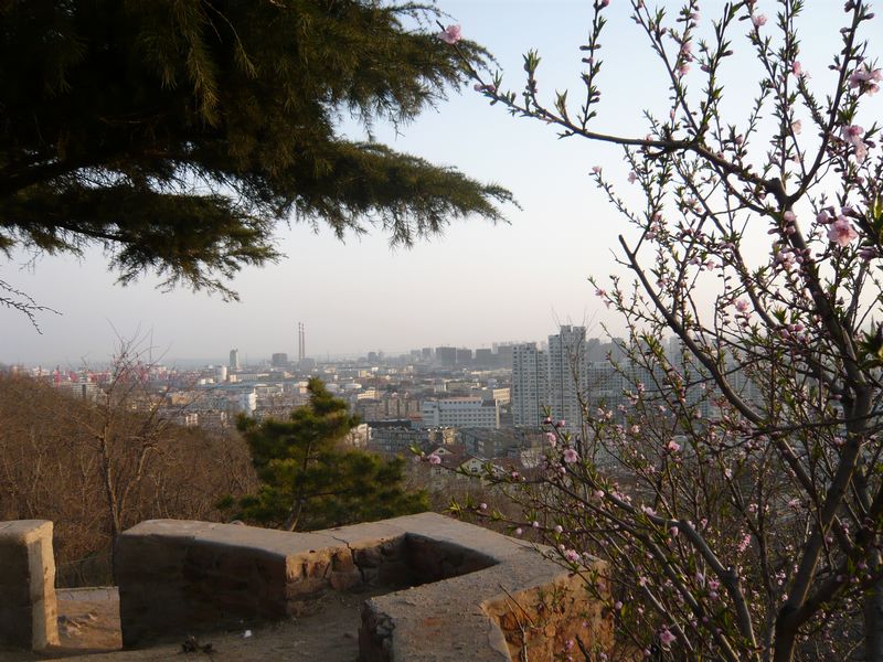 四月青岛樱花之旅 078.jpg