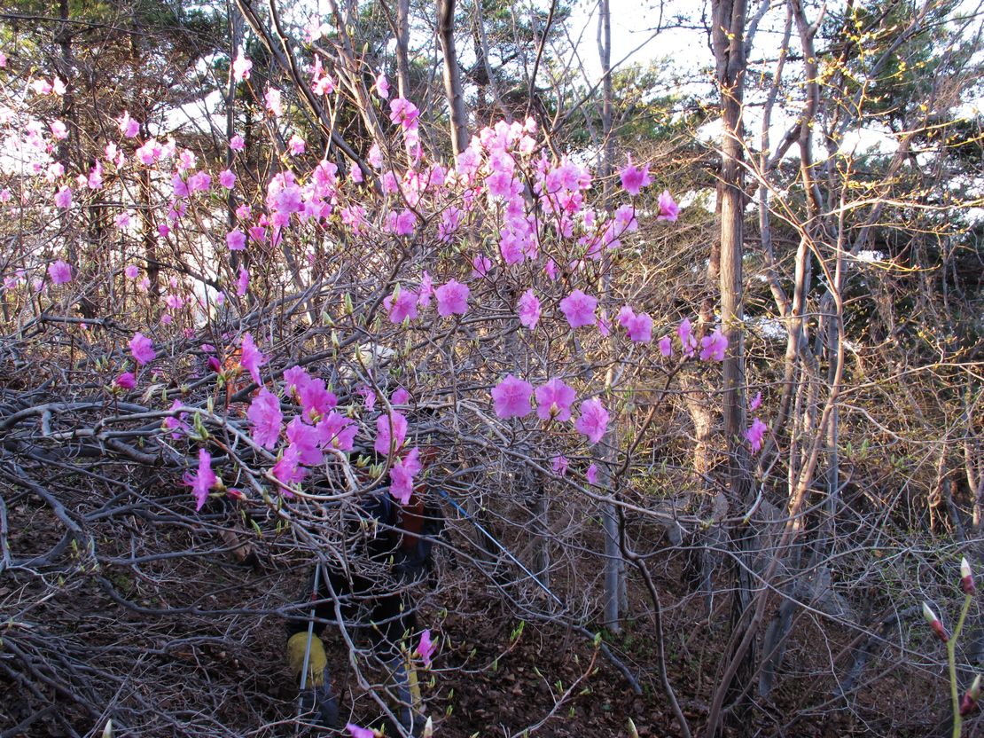 IMG_2714.jpg