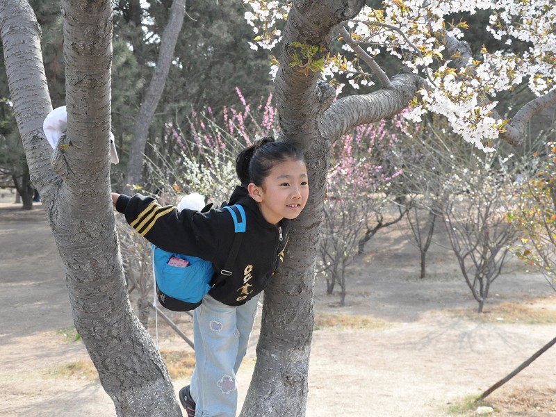 PhotoCap_207.jpg