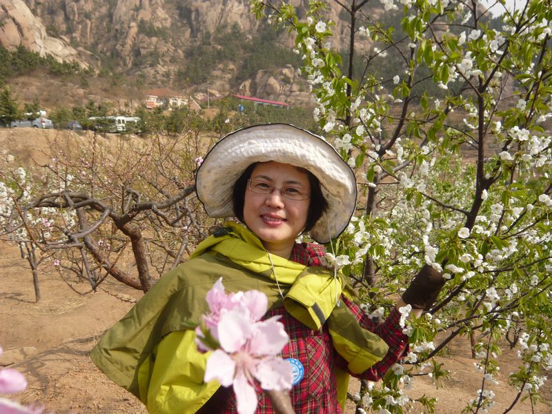 四月青岛樱花之旅 134.jpg