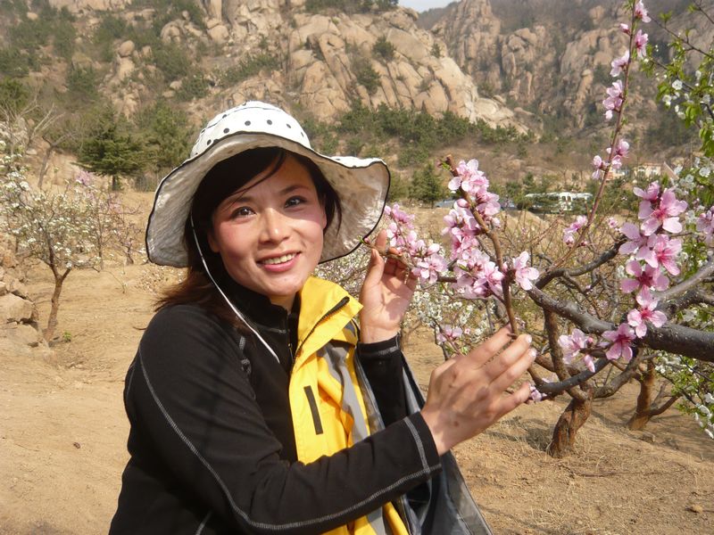 四月青岛樱花之旅 139.jpg