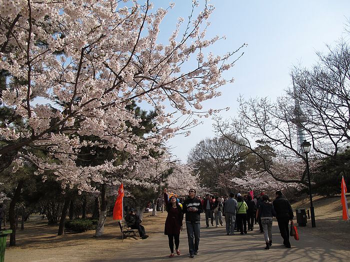 nEO_IMG_照片 721.jpg