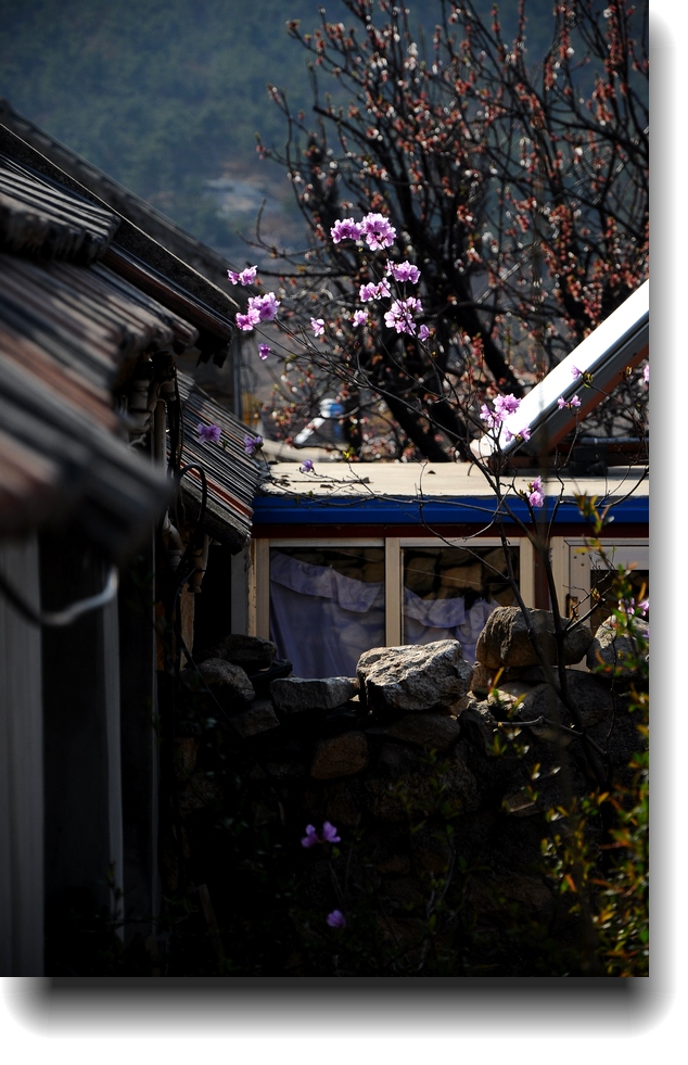 DSC_7532.jpg