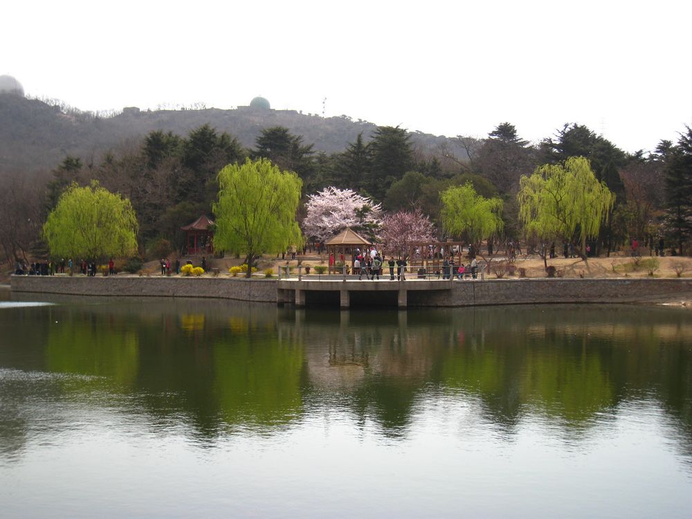 照片 234.jpg