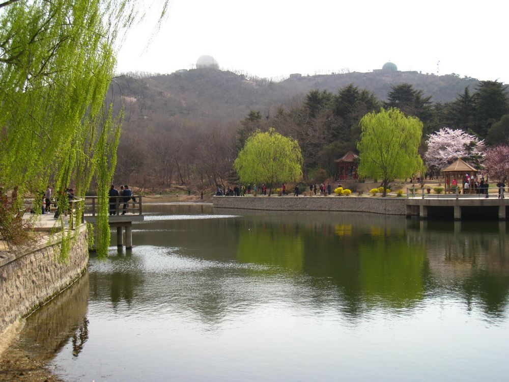 照片 235.jpg