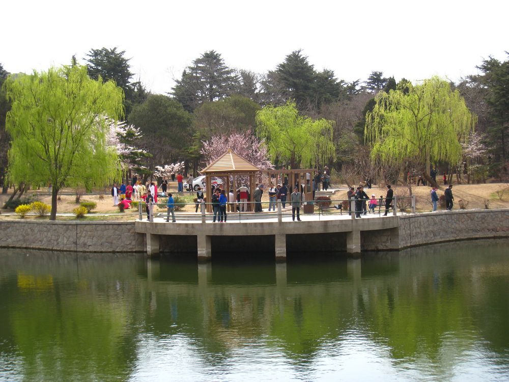 照片 240.jpg