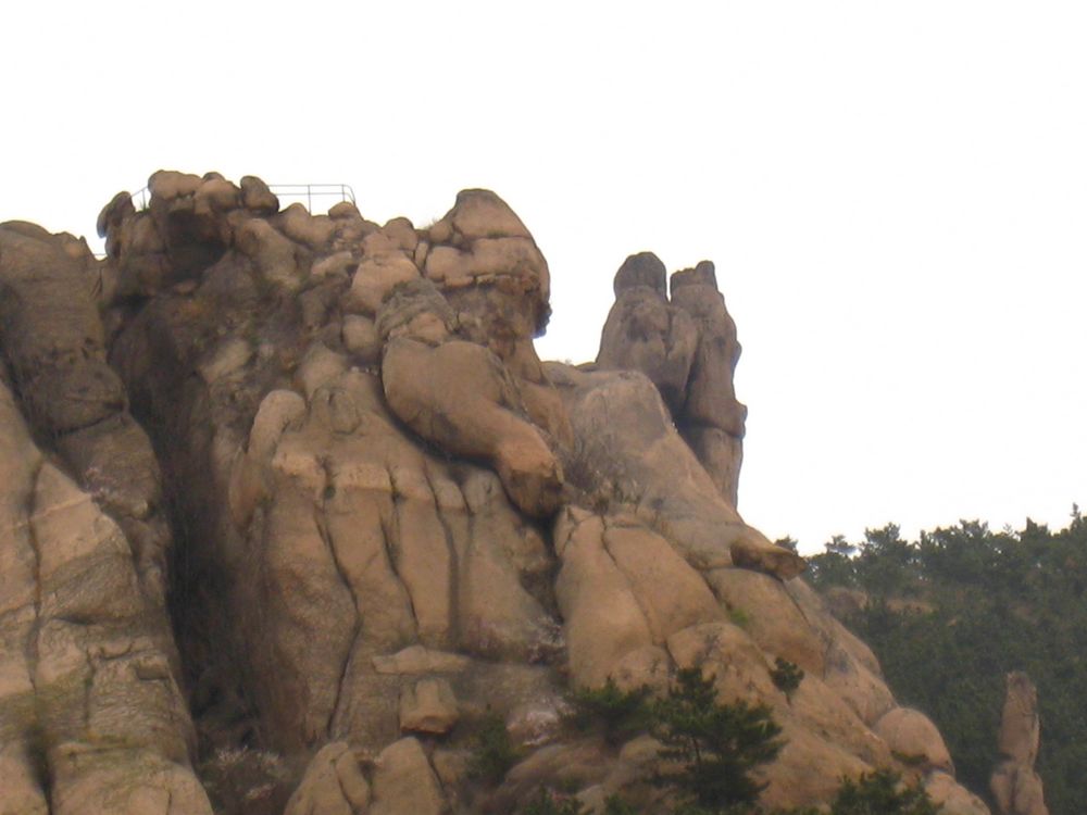 照片 255.jpg