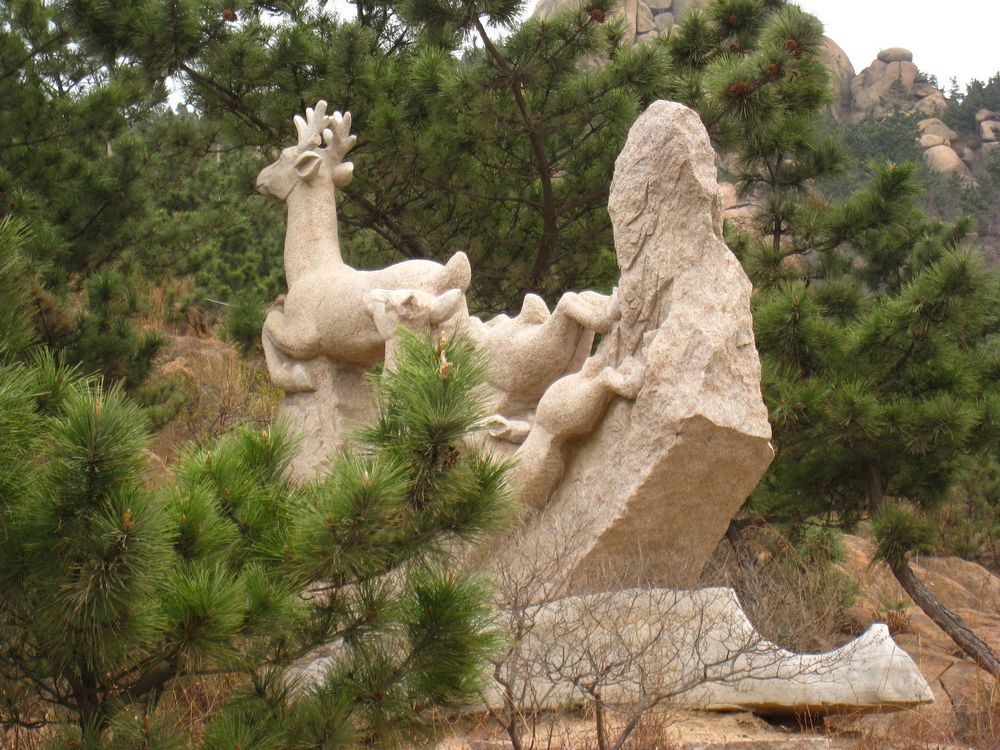 照片 258.jpg