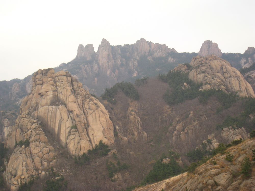 照片 274.jpg