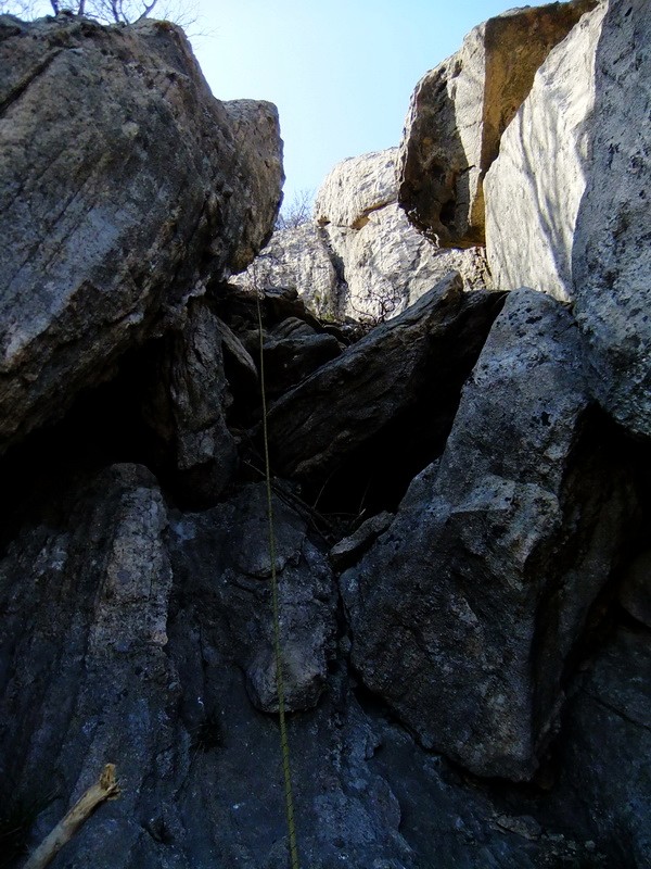 DSCF1358.jpg