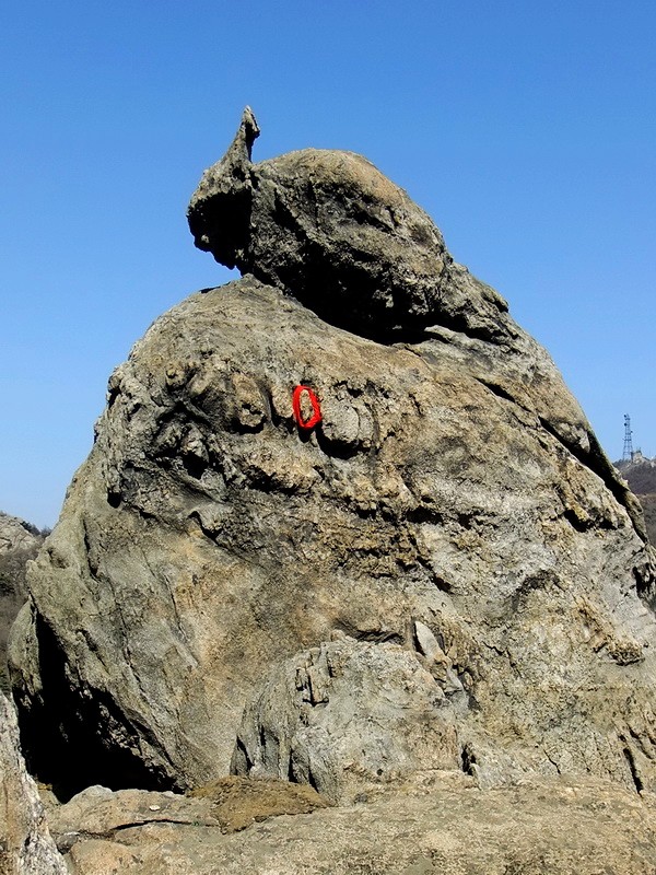 DSCF1370.jpg