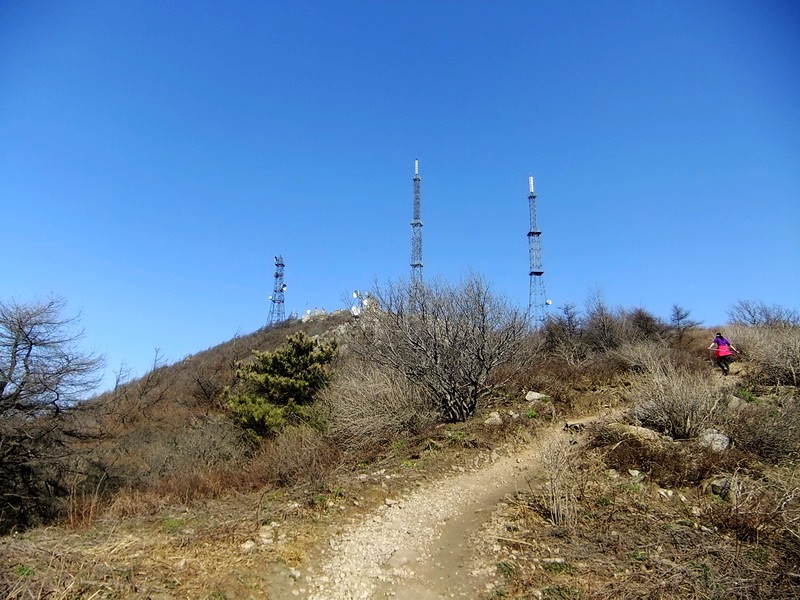 DSCF1386.jpg