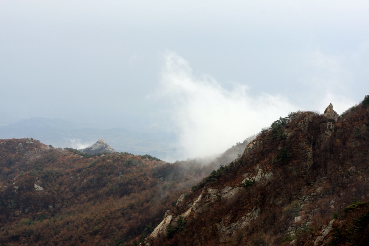 IMG_3279.JPG