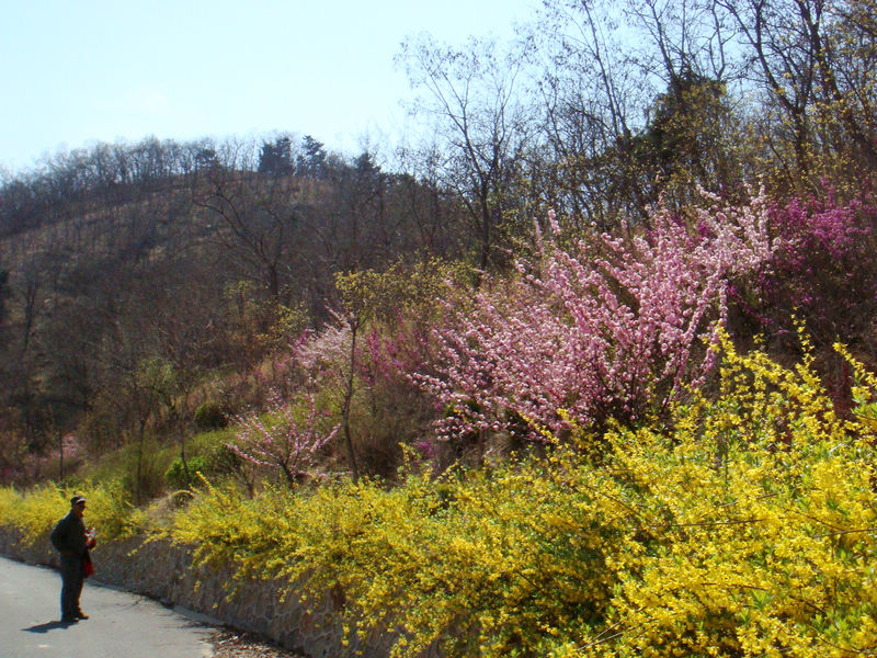 DSC01924.JPG