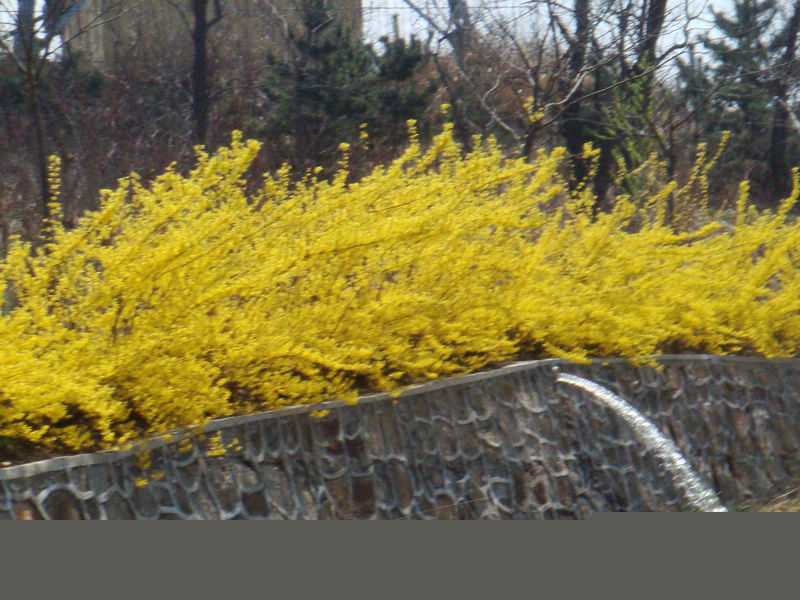 DSC01837.JPG