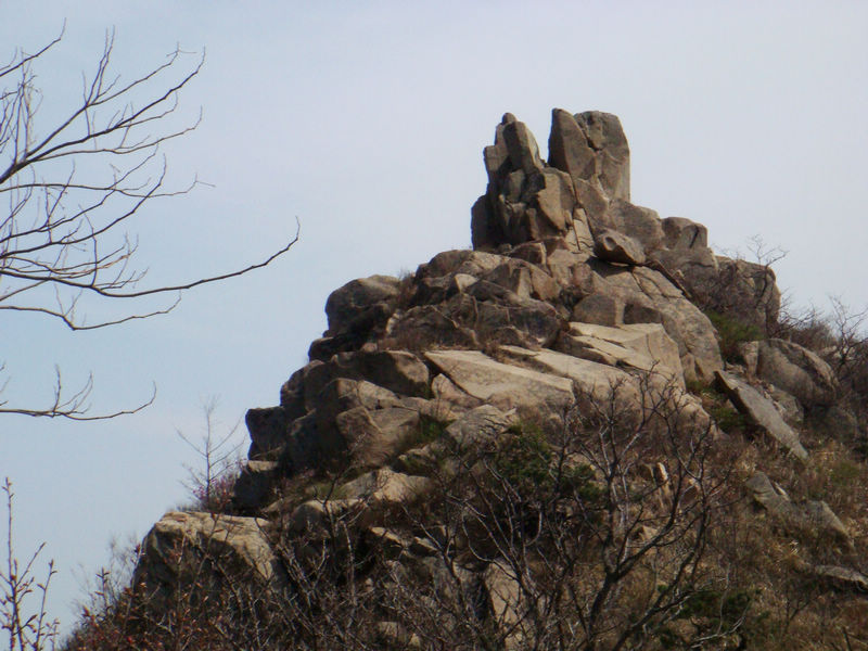 DSC01850.JPG