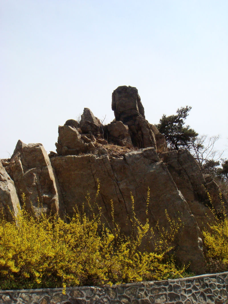 DSC01872.JPG