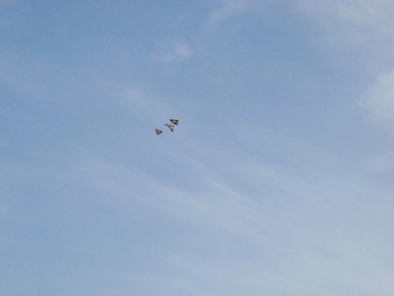 DSC01900.JPG