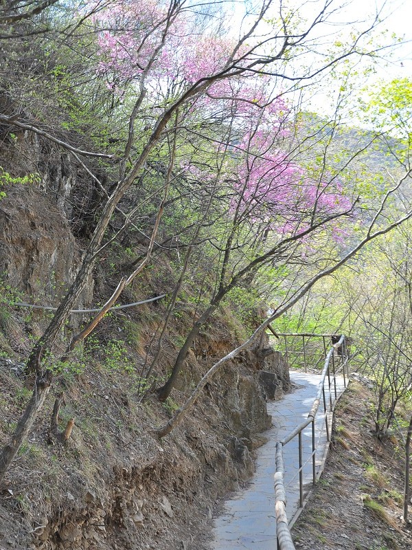 PhotoCap_155.jpg