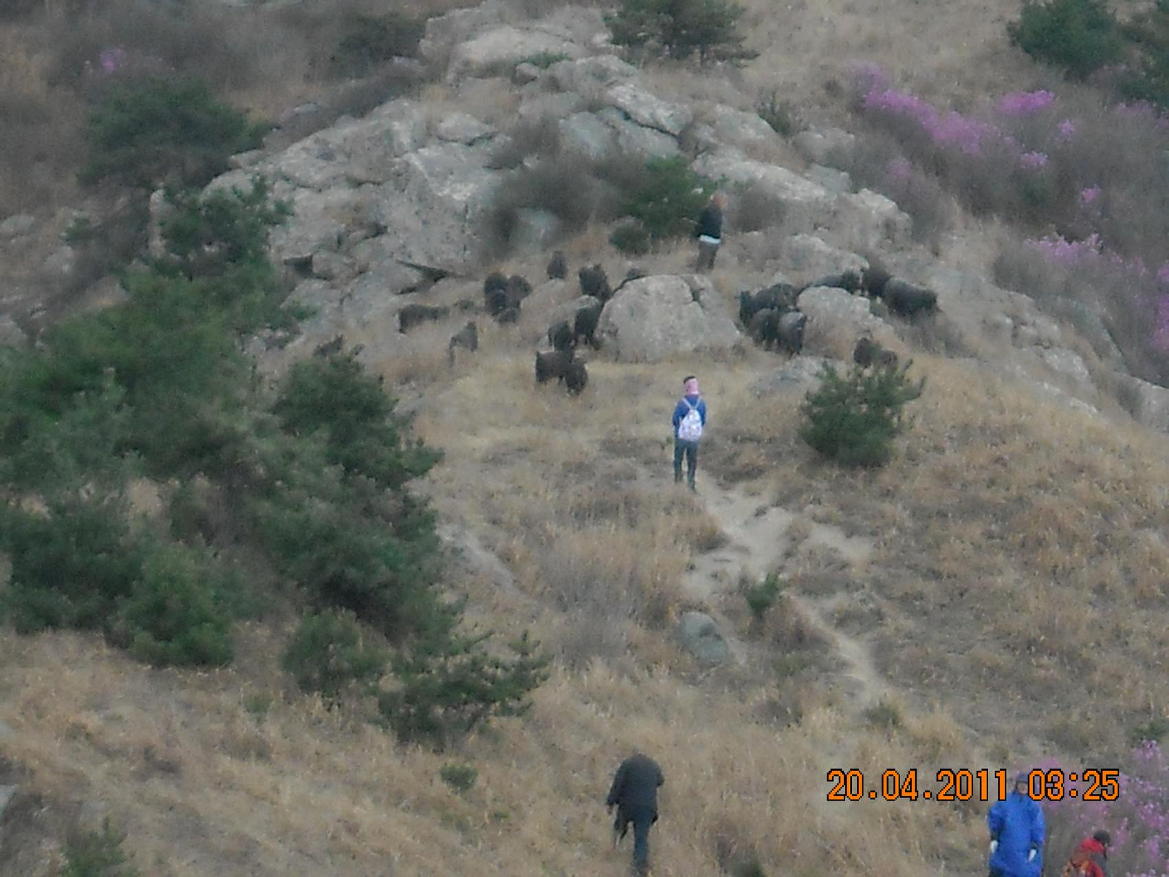 DSCN1430.jpg