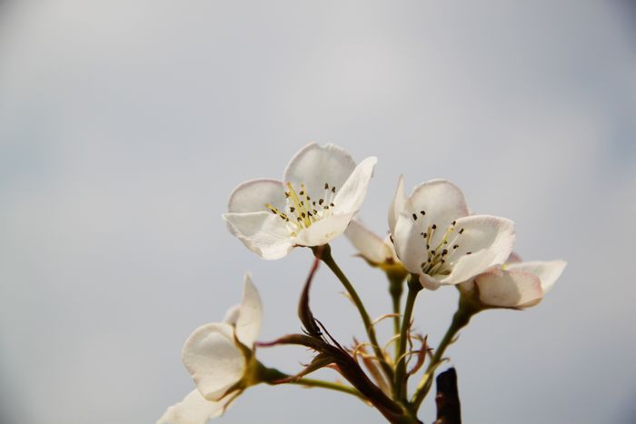 照片 095-1.jpg