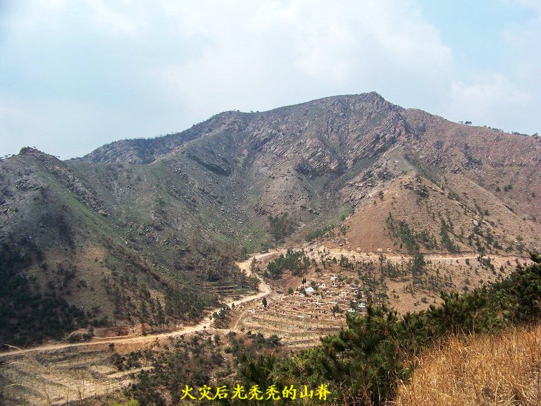 100_2133_缩小大小.jpg