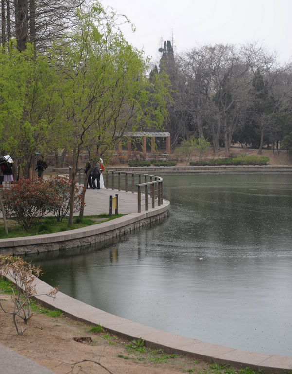 d700 141.jpg